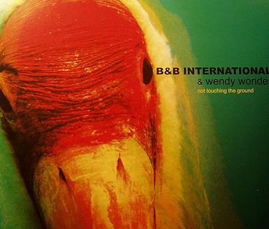 Cover for B&amp;b International · Not Touching the Ground EP (12&quot;) (2007)