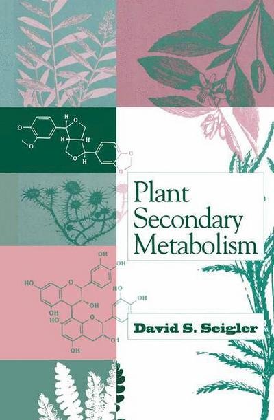 Cover for David S. Seigler · Plant Secondary Metabolism (Taschenbuch) (1998)