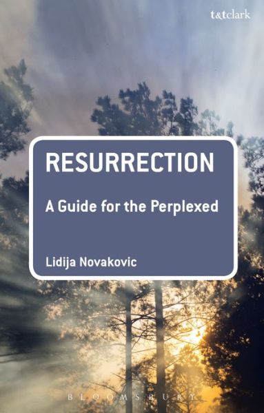 Cover for Novakovic , Dr  Lidija (Baylor University, USA) · Resurrection: A Guide for the Perplexed - Guides for the Perplexed (Hardcover Book) (2016)