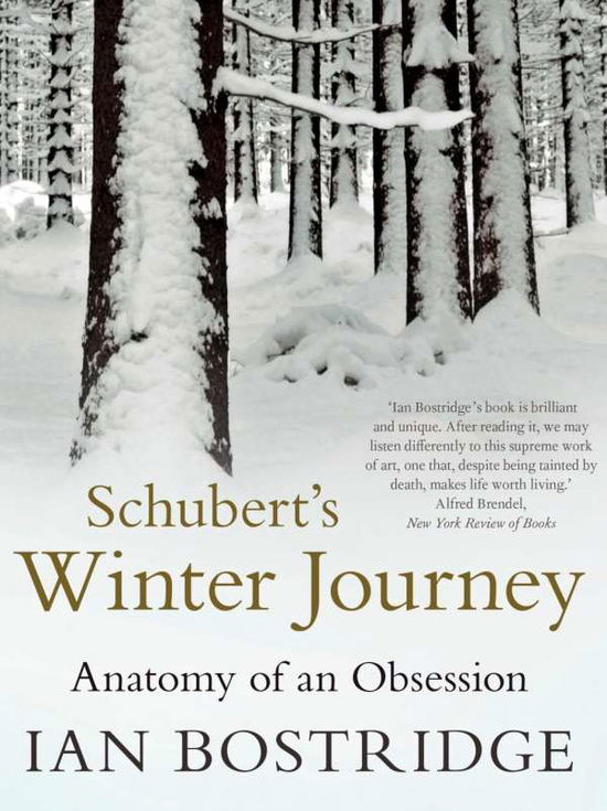 Cover for Bostridge, Dr Ian, CBE (Author) · Schubert's Winter Journey: Anatomy of an Obsession (Paperback Book) [Main edition] (2015)