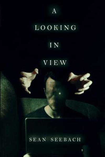 Cover for Sean Seebach · A Looking In View (Paperback Book) (2017)