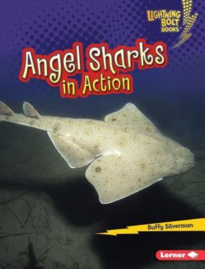 Angel Sharks in Action - Buffy Silverman - Książki - Lerner Publishing Group - 9781512433814 - 1 sierpnia 2017