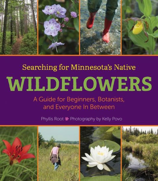 Cover for Phyllis Root · Searching for Minnesota's Native Wildflowers: A Guide for Beginners, Botanists, and Everyone in Between (Hardcover Book) (2018)