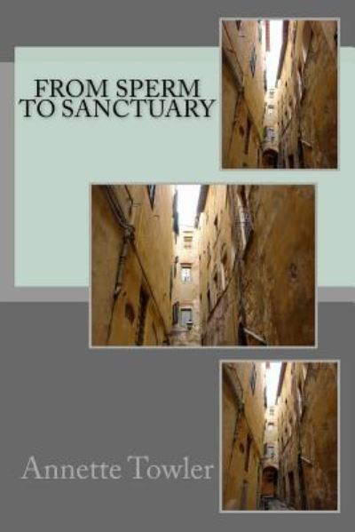 Cover for Annette Towler · From Sperm to Sanctuary (Paperback Book) (2016)