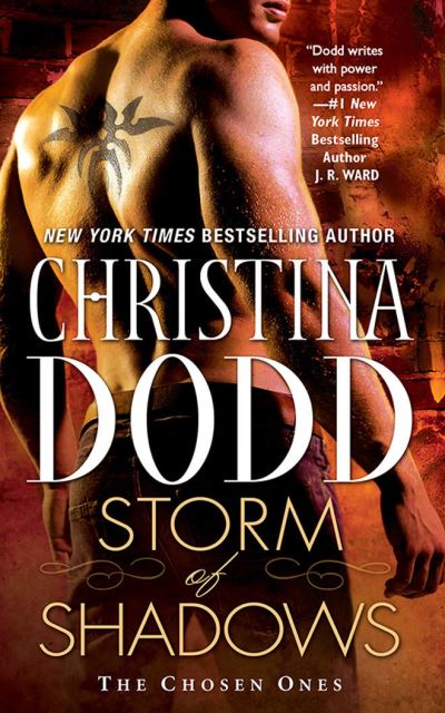 Storm of Shadows - Christina Dodd - Music - BRILLIANCE AUDIO - 9781713531814 - August 17, 2021