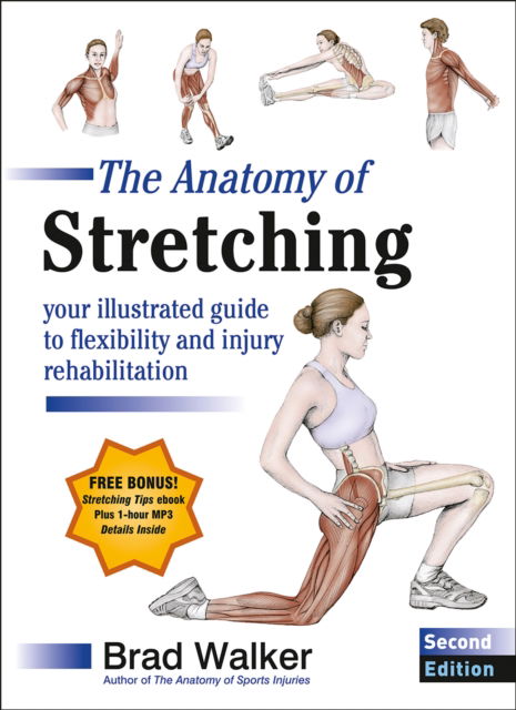 The Anatomy of Stretching: Your Illustrated Guide to Flexibility and Injury Rehabilitation - Brad Walker - Books - Human Kinetics Publishers - 9781718242814 - December 18, 2024
