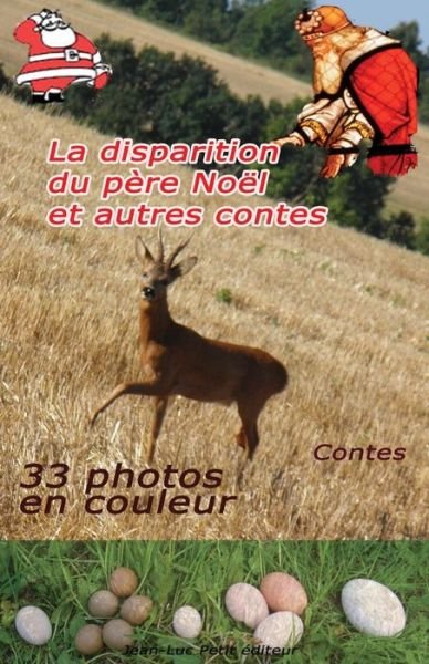 Cover for Stéphane Ternoise · La Disparition Du Père Noël et Autres Contes (Pocketbok) [French, 1 edition] (2013)