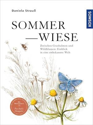 Cover for Daniela Strauß · Sommerwiese (Book) (2023)