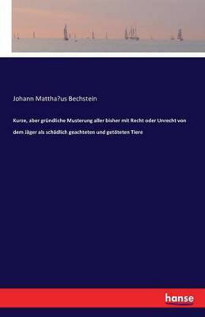 Cover for Bechstein · Kurze, aber gründliche Muster (Book) (2016)