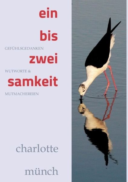 Ein- Bis Zweisamkeit - Münch - Books -  - 9783743929814 - June 9, 2017