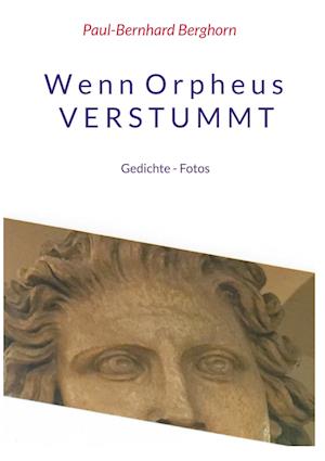 Cover for Paul-Bernhard Berghorn · Wenn Orpheus Verstummt (Hardcover Book) (2021)