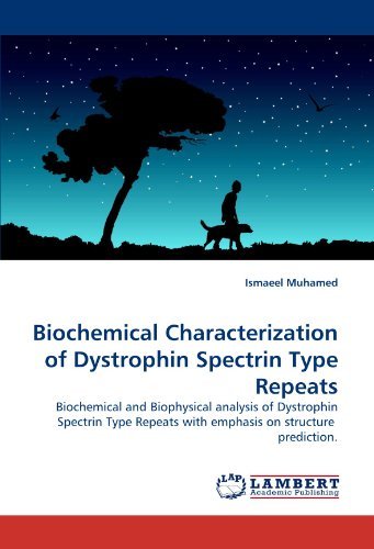 Cover for Ismaeel Muhamed · Biochemical Characterization of Dystrophin Spectrin Type Repeats: Biochemical and Biophysical Analysis of Dystrophin Spectrin Type Repeats with Emphasis on Structure  Prediction. (Paperback Bog) (2010)
