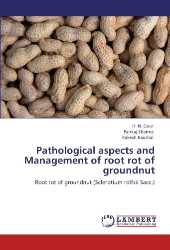 Cover for Rakesh Kaushal · Pathological Aspects and Management of Root Rot of Groundnut: Root Rot of Groundnut (Sclerotium Rolfsii Sacc.) (Paperback Book) (2012)