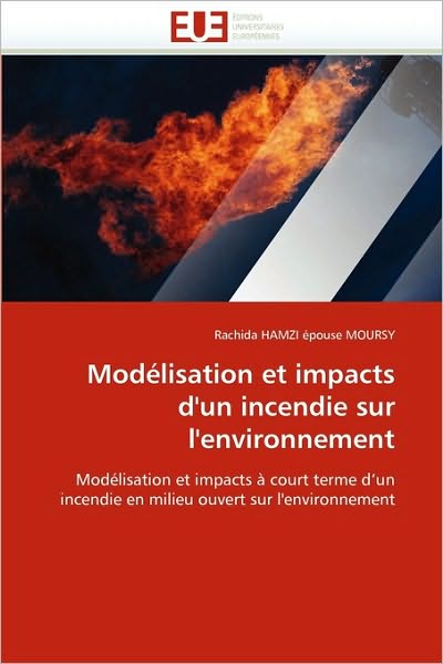 Cover for Rachida Hamzi Épouse Moursy · Modélisation et Impacts D'un Incendie Sur L'environnement: Modélisation et Impacts À Court Terme D'un Incendie en Milieu Ouvert Sur L'environnement (Paperback Book) [French edition] (2018)