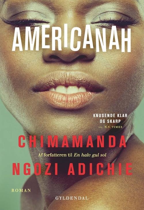 Cover for Chimamanda Ngozi Adichie · Americanah (Pocketbok) [2. utgave] (2015)
