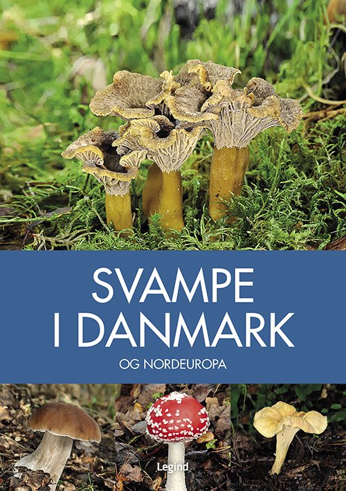 Cover for Josephine Bacon · Naturguide: Svampe i Danmark (Indbundet Bog) [2. udgave] (2020)