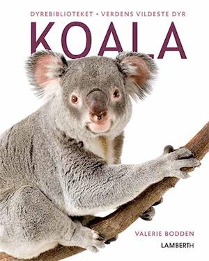 Cover for Valerie Bodden · Verdens vildeste dyr: Koala (Bound Book) [1.º edición] (2020)