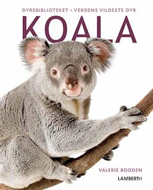 Cover for Valerie Bodden · Verdens vildeste dyr: Koala (Gebundesens Buch) [1. Ausgabe] (2020)