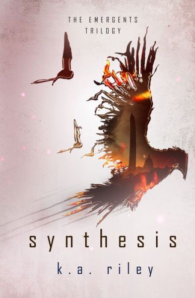 Cover for K a Riley · Synthesis (Paperback Book) (2020)