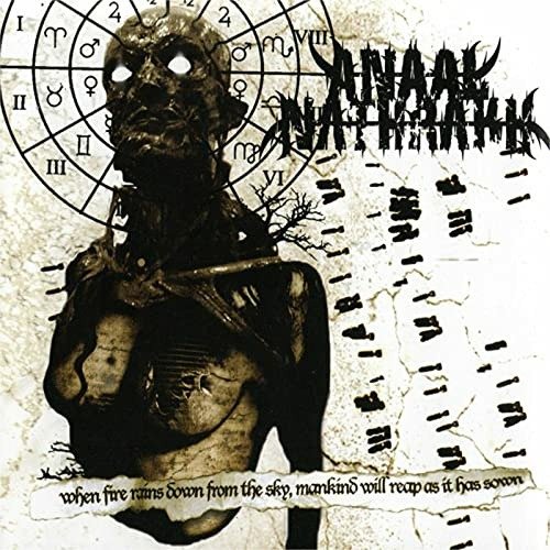 Cover for Anaal Nathrakh · When Fire Rains Down From The Sky. Mankind Will Reap As It Has Sown (LP) (2021)