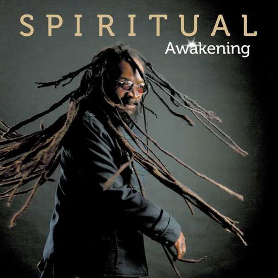 Cover for Spiritual · Awakening (LP) [Standard edition] (2017)