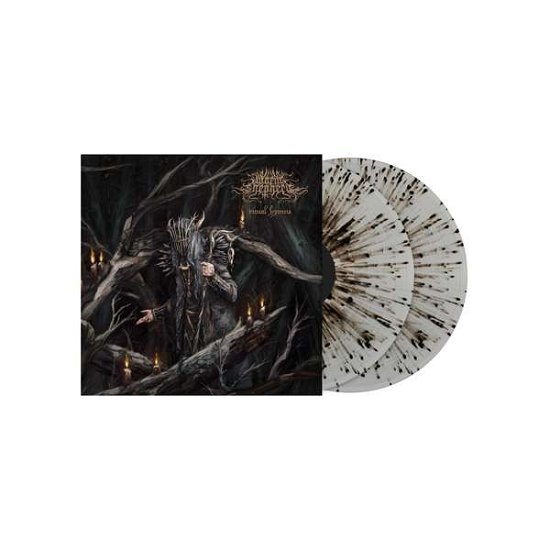 Worm Shepherd · Ritual Hymns (LP) (2022)