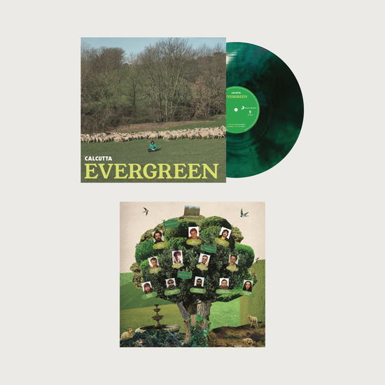 Cover for Calcutta · Evergreen (LP) (2023)