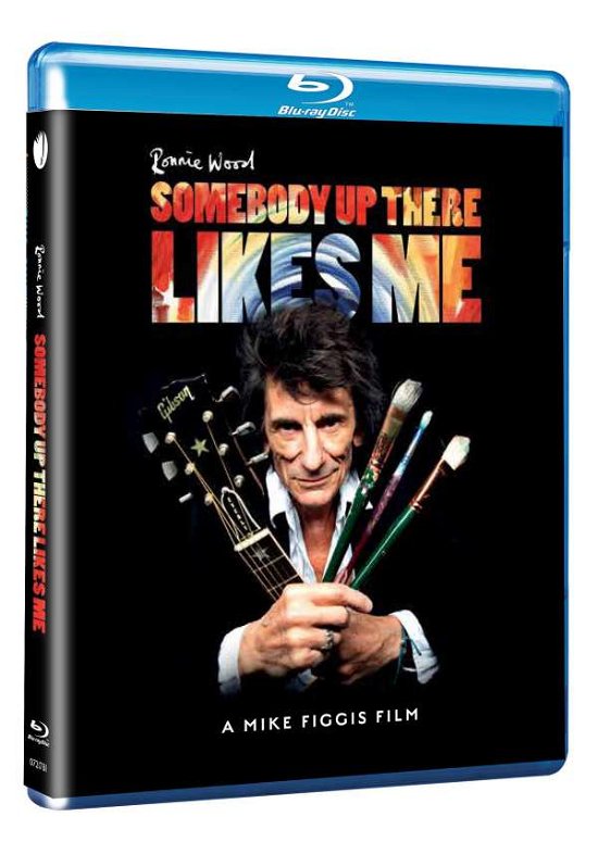 Somebody Up There Likes Me - Ronnie Wood - Film - EAGLE ROCK - 0602507217815 - 9 oktober 2020