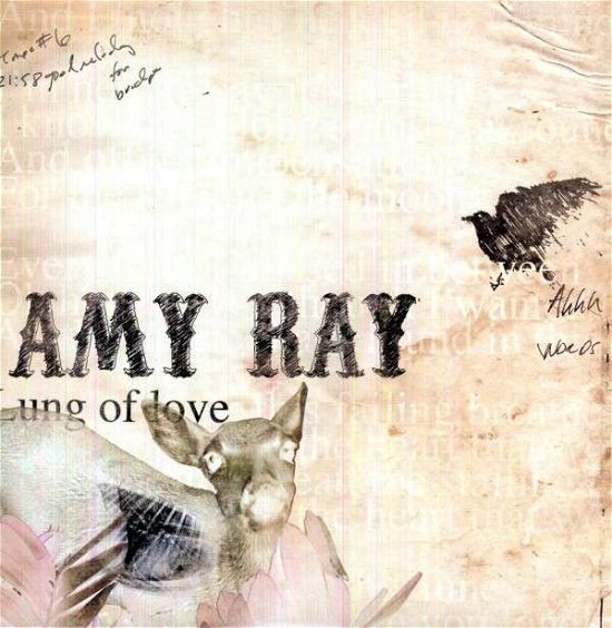 Cover for Amy Ray · Lung of Love (LP) (2012)