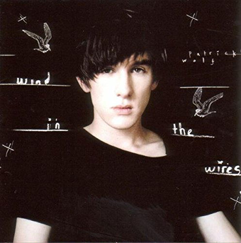 Cover for Patrick Wolf · Wind in the Wires (7&quot;) (2008)