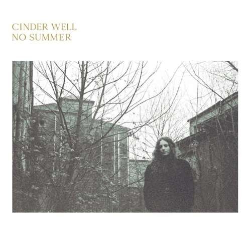 Cover for Cinder Well · No Summer (LP) (2020)
