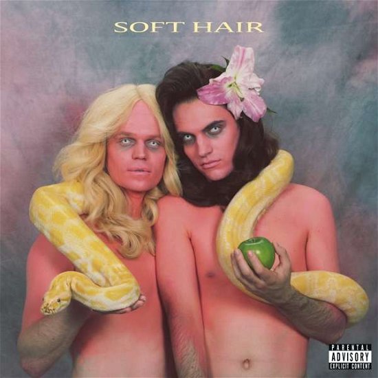 Cover for Soft Hair (LP) (2016)