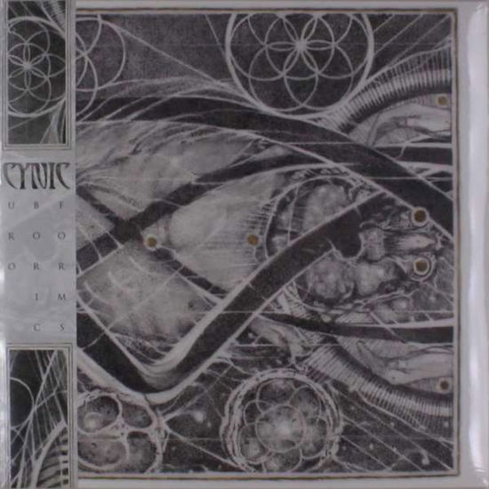 Uroboric Forms: Complete Demo Recordings - Cynic - Music - CENTURY MEDIA - 0889853553815 - December 31, 2017