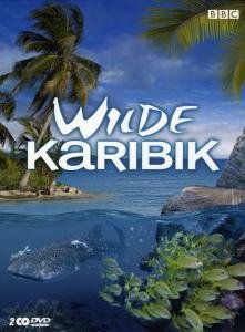 Cover for Bbc · Wilde Karibik (DVD-Single) (2008)