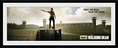 Cover for Walking Dead (the) · Walking Dead (The): Prison (Stampa In Cornice 76x30 Cm) (CD)