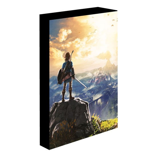 LEGEND OF ZELDA - Into The Wilds - Light Canvas 40 - Legend Of Zelda - Koopwaar - Pyramid Posters - 5050574040815 - 