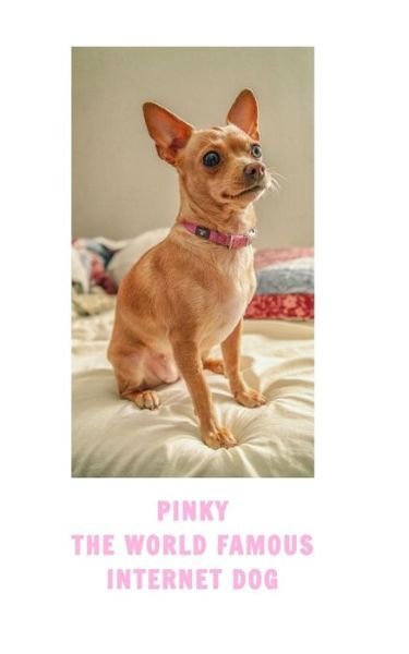 Cover for Christopher Happy · Pinky The Famous Internet Dog (Paperback Book) (2019)