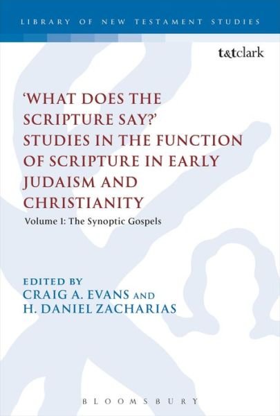 Cover for Craig a Evans · What Does the Scripture Say?' Studies in the Function of Scripture in Early Judaism and Christianity: Volume 1: The Synoptic Gospels - The Library of New Testament Studies (Taschenbuch) [Nippod edition] (2013)