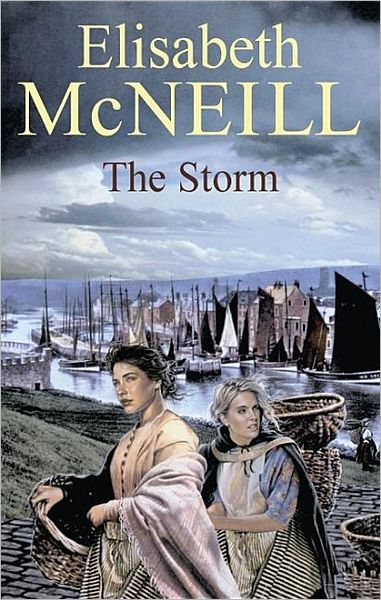 Cover for Elisabeth Mcneill · The Storm (Severn House Large Print) (Hardcover Book) (2007)