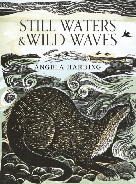 Angela Harding · Still Waters & Wild Waves: The beautiful new book from printmaker and illustrator Angela Harding (Hardcover Book) (2024)