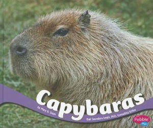 Cover for Mary R. Dunn · Capybaras (South American Animals) (Hardcover Book) (2012)