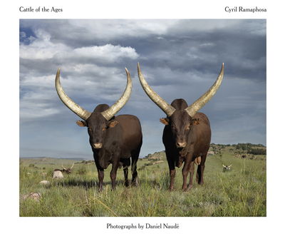 Cattle of the Ages: Ankole cattle in South Africa -  - Books - Jacana Media (Pty) Ltd - 9781431425815 - October 17, 2017