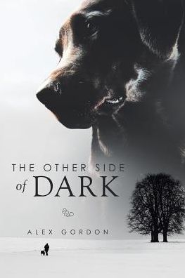 The Other Side of Dark - Alex Gordon - Books - Xlibris - 9781503500815 - January 23, 2015