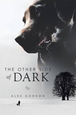 Cover for Alex Gordon · The Other Side of Dark (Paperback Book) (2015)