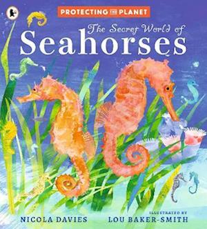 Cover for Nicola Davies · Protecting the Planet: The Secret World of Seahorses (Paperback Book) (2025)