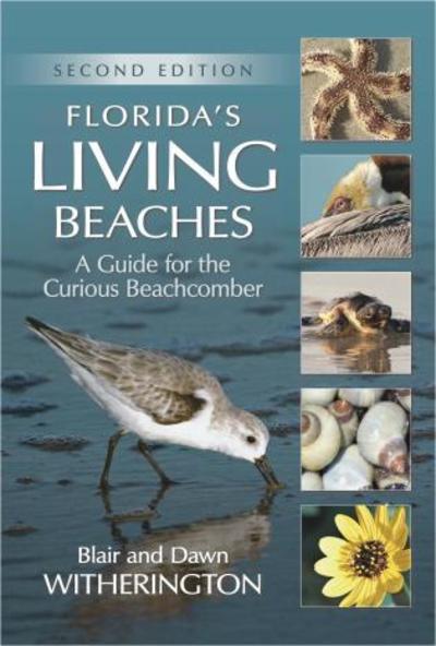 Cover for Blair Witherington · Florida's Living Beaches: A Guide for the Curious Beachcomber (Paperback Book) [Second edition] (2017)