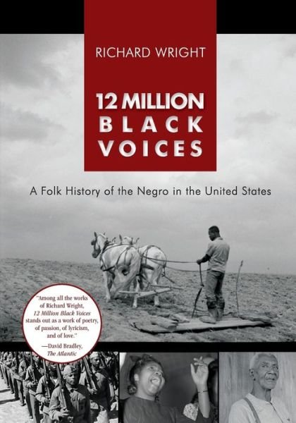Cover for Richard Wright · 12 Million Black Voices (Paperback Bog) [Reprint edition] (2019)