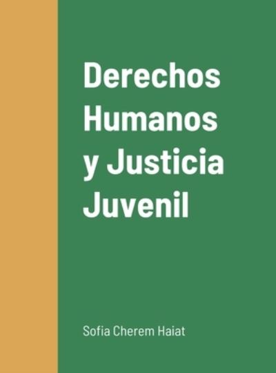 Cover for Sofia Cherem Haiat · Derechos Humanos y Justicia Juvenil (Hardcover Book) (2020)