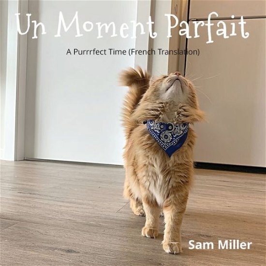 Cover for Sam Miller · Moment Parfait (Bok) (2021)