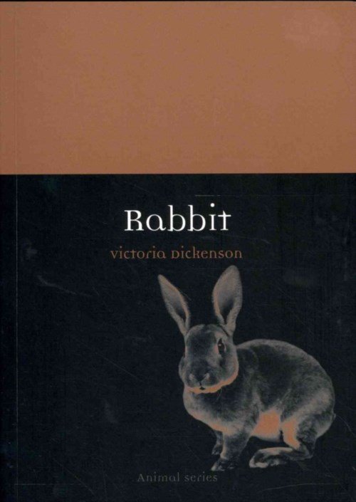 Rabbit - Animal Series - Victoria Dickenson - Books - Reaktion Books - 9781780231815 - October 1, 2013